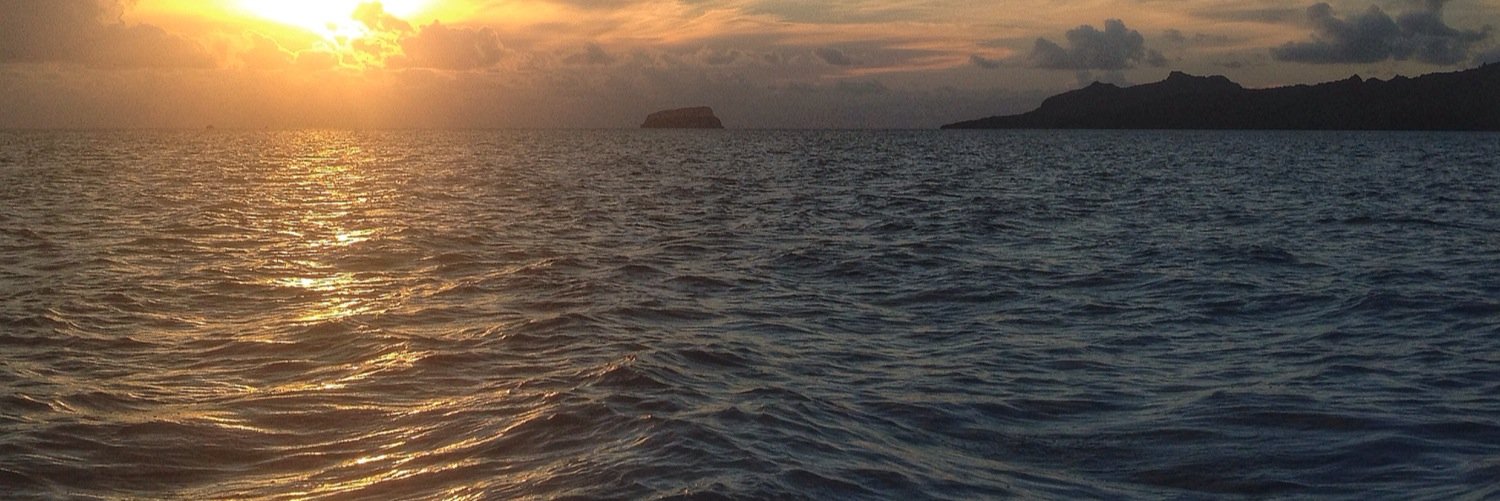 Chris Gray Faust banner