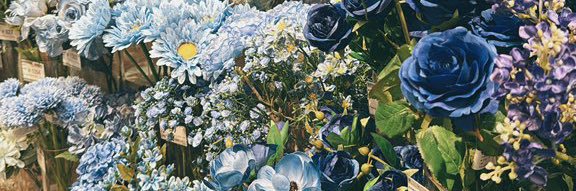 いずみ🥚 banner