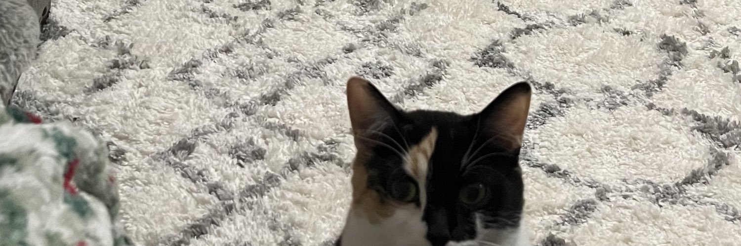 ShawtyTaco's profile banner image