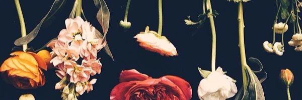 Alxandria_'s profile banner image
