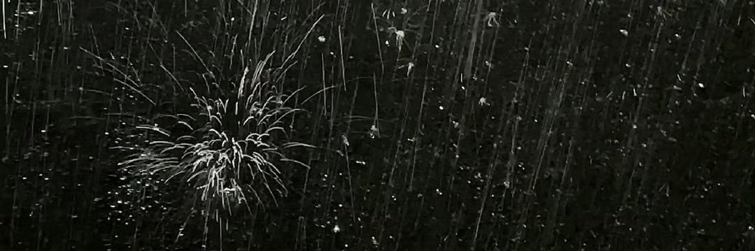iris's banner