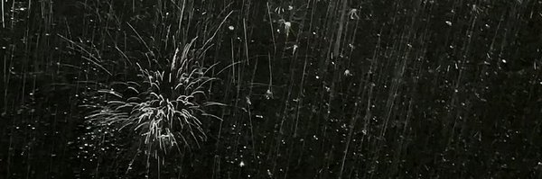 Irisartemis9 Profile Banner