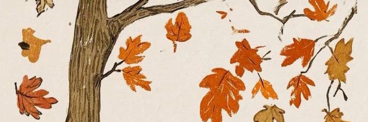 ohnosmo's profile banner image