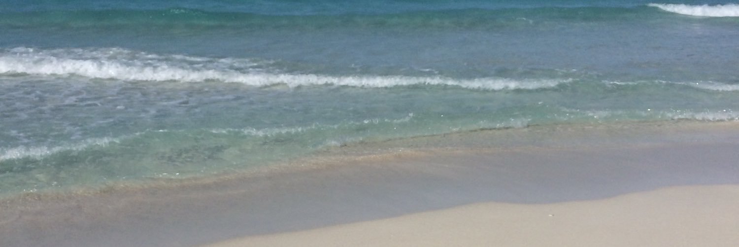 Sofipietrantoni's profile banner image
