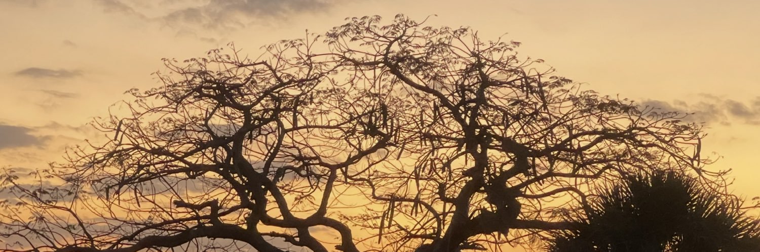 Jim_PatioLogic's profile banner image