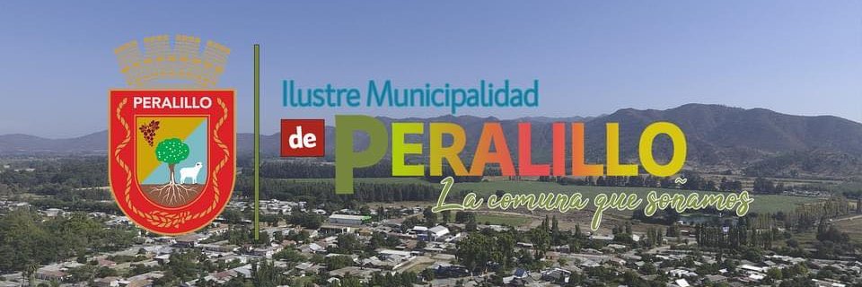 muniperalillo's profile banner image
