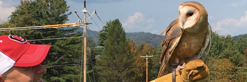 Barno 🅱️🔺®️♑️⭕️ banner