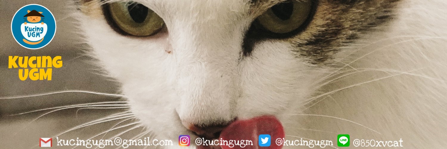 KUCING UGM banner
