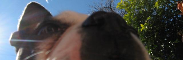 DoofusFace's profile banner image