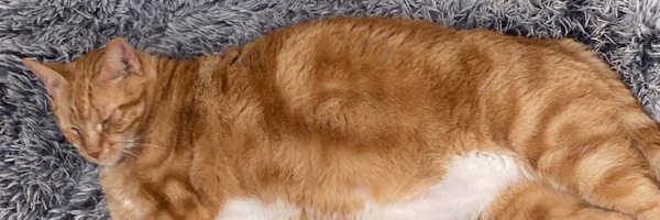 KingsmanGas Profile Banner