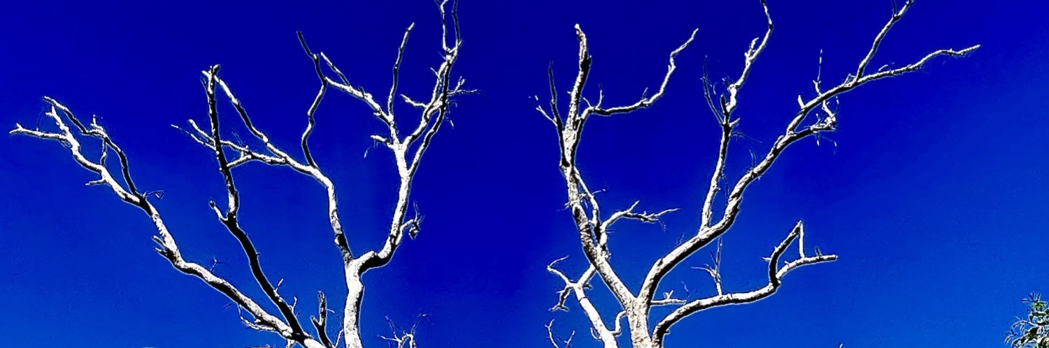 bluesboy2307's profile banner image
