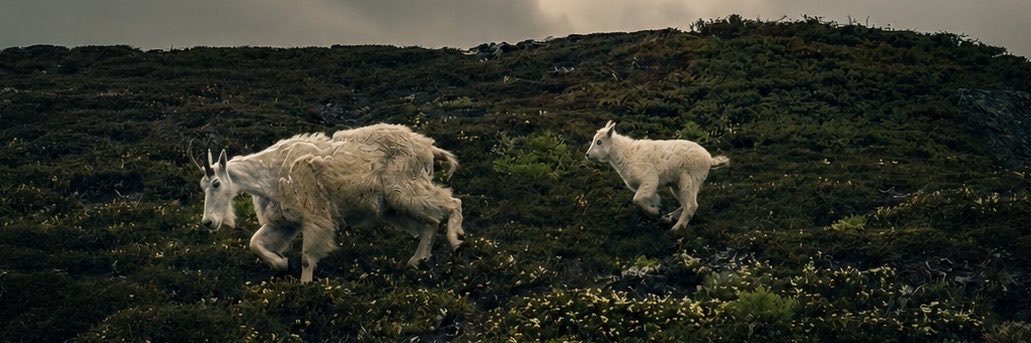 Cree977's profile banner image