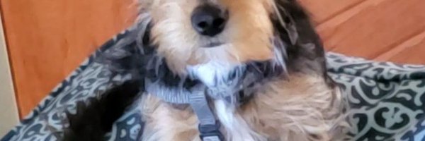 barberotool Profile Banner