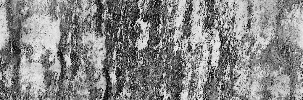 eric1021945's profile banner image