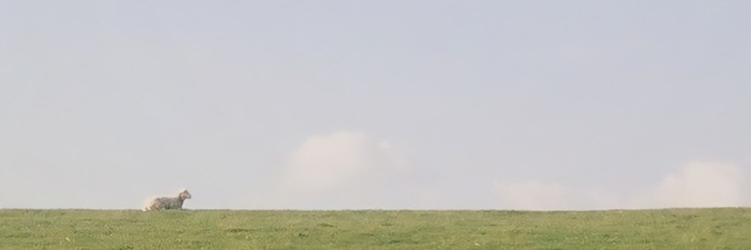 makemebmoo ´ˎ˗ banner