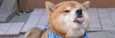 Sir SHIB of the Moon banner