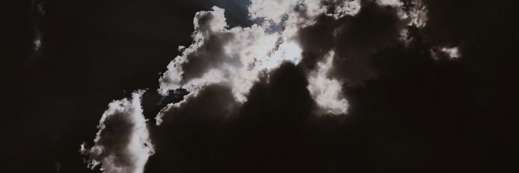 ferminbull's profile banner image