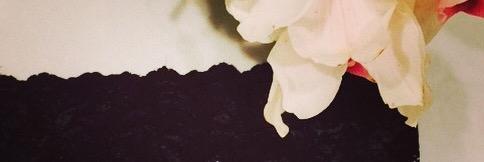 sarasnow's profile banner image