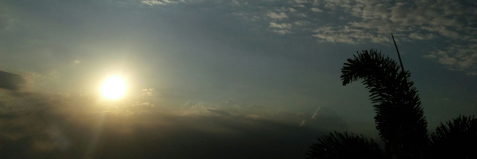 Justine Peña banner