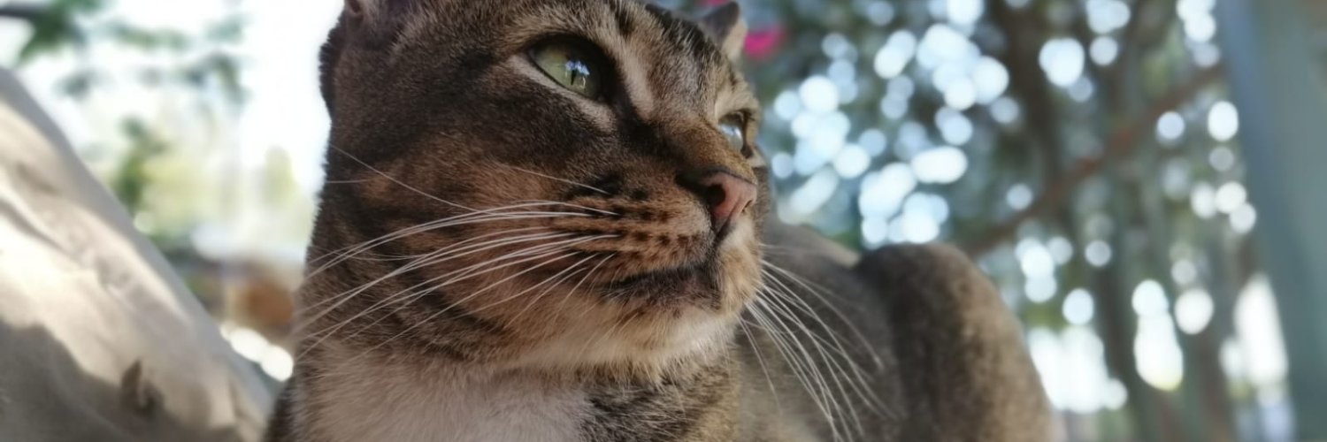 Aprillions7's profile banner image