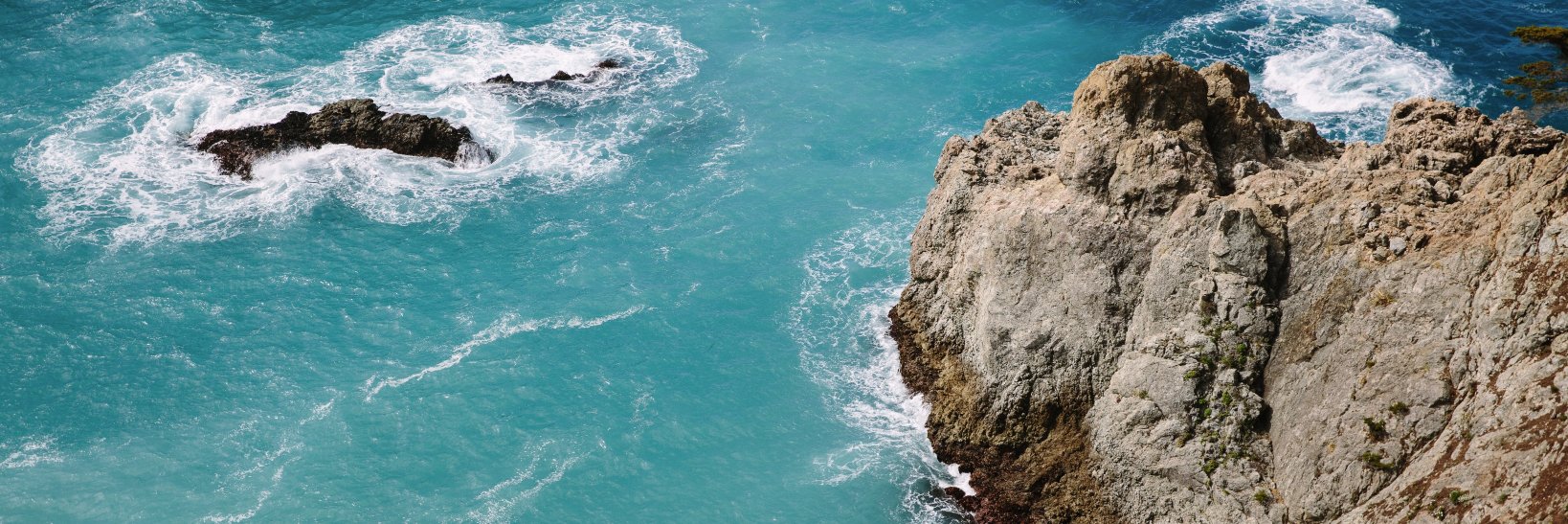 Natalie Moser banner