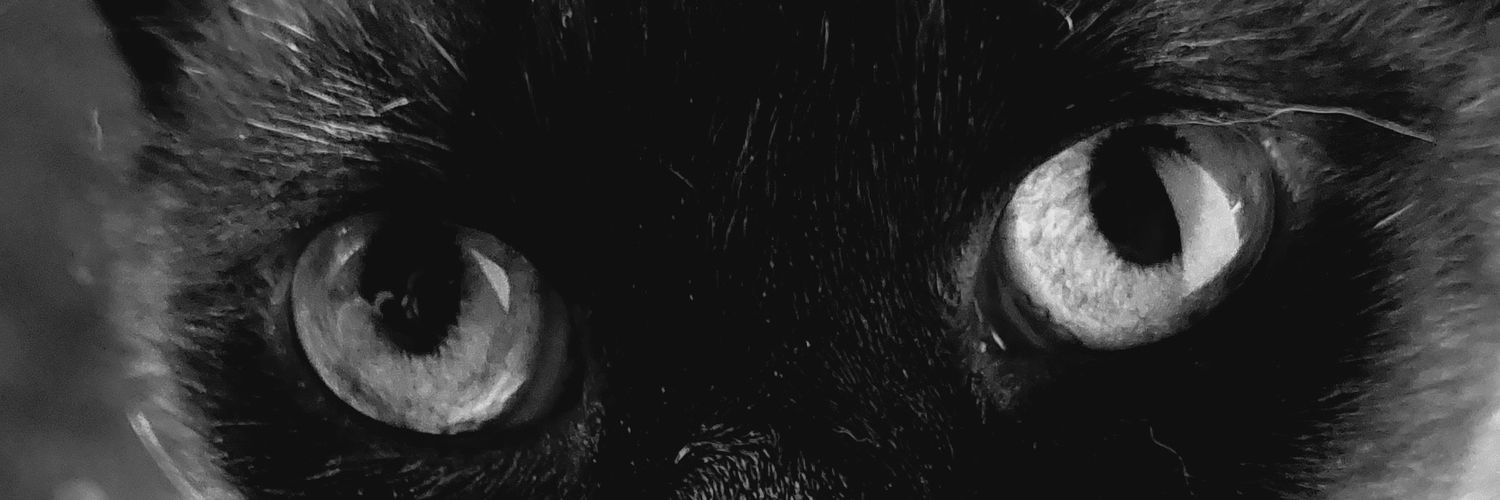 DeymosRascal's profile banner image