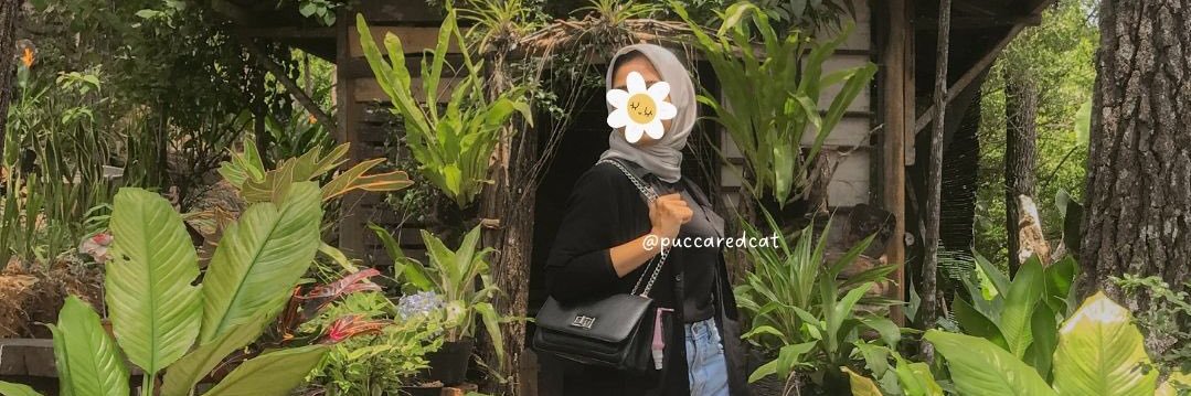 midipici🌸 banner