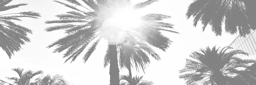 HelmiCaster's profile banner image