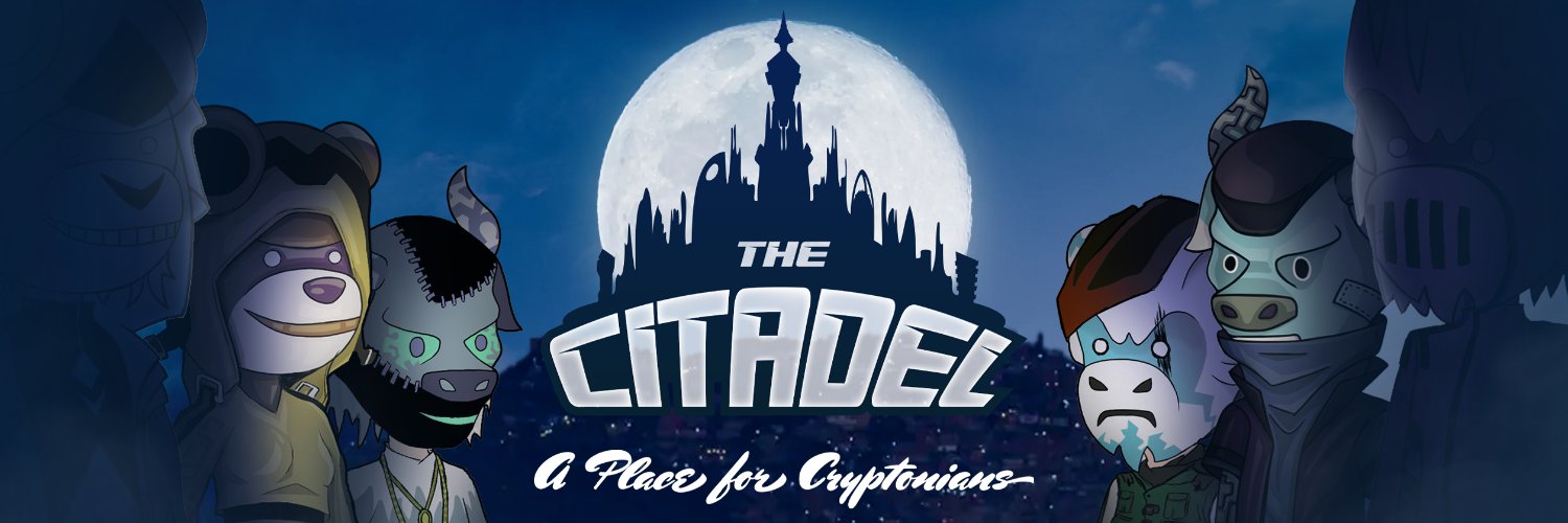 The Citadel banner