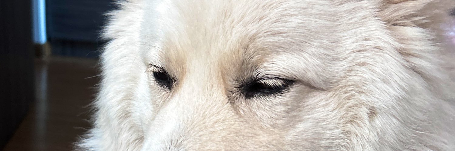 _btxcl's profile banner image
