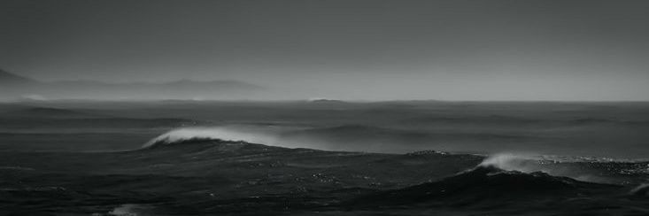 Shau. banner