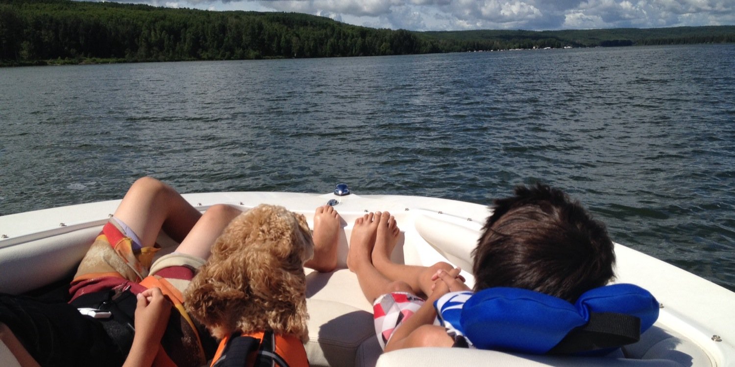 Patti Hergott 🇨🇦 banner