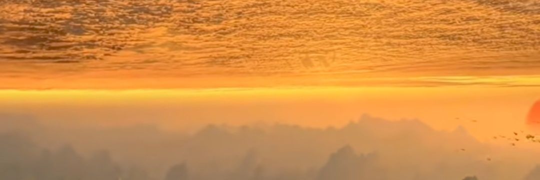 dwe10P's profile banner image