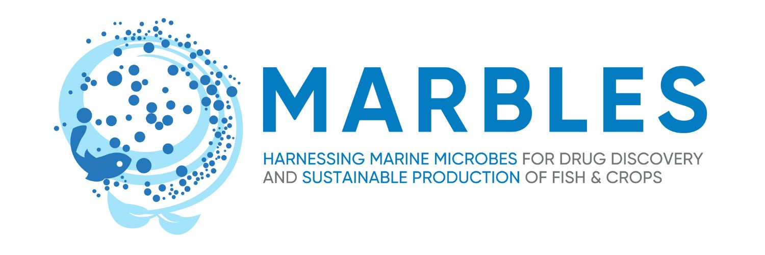 @MARBLES_EU's banner