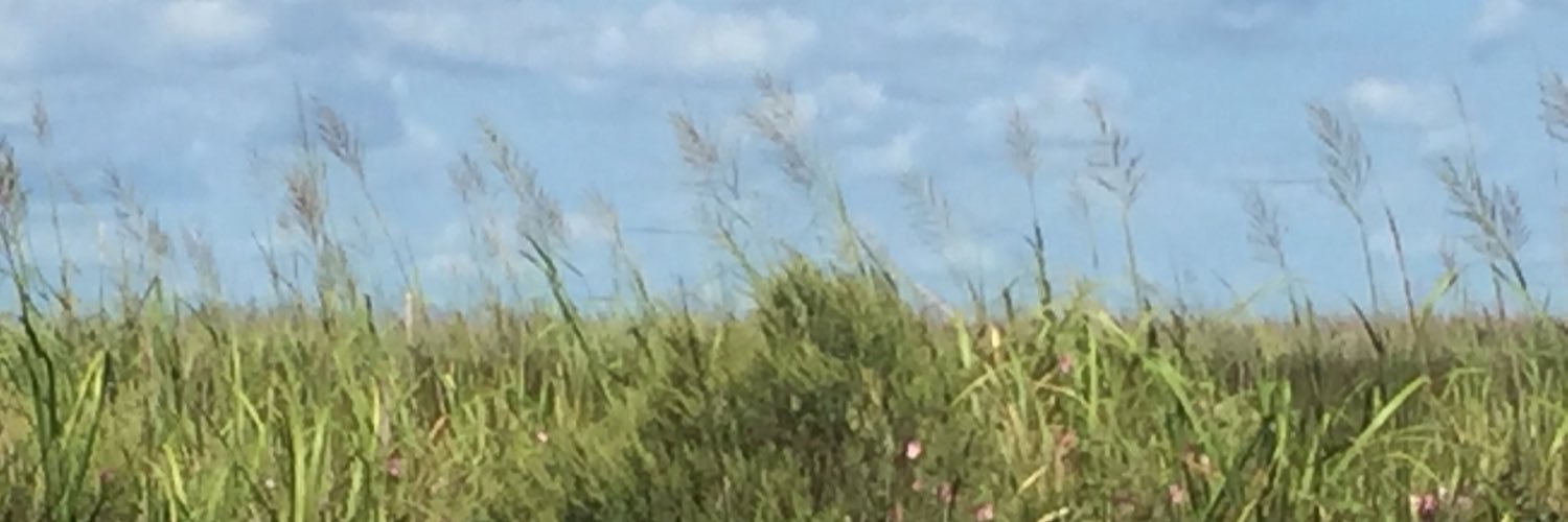 jconeal's profile banner image