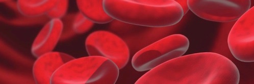 AmericanJournalofHematology's banner