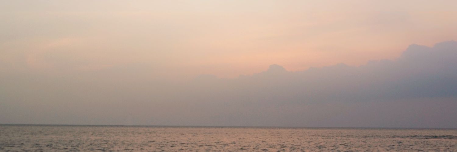 Jere banner