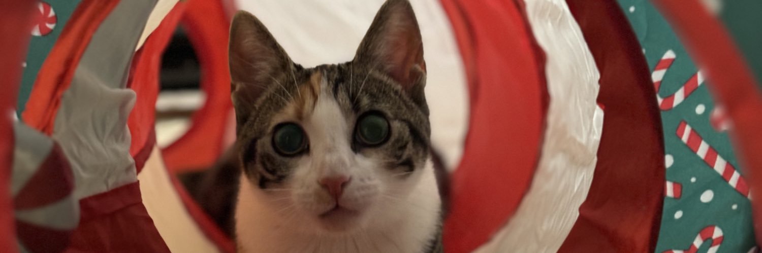 EKennedy15's profile banner image