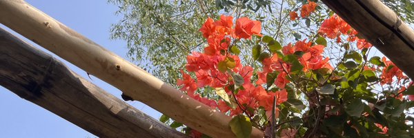 BekShackelford Profile Banner