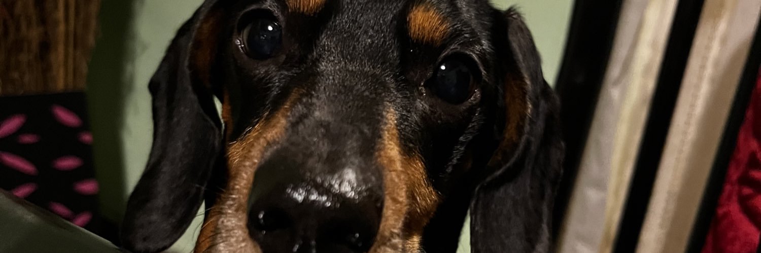 _rochu10's profile banner image