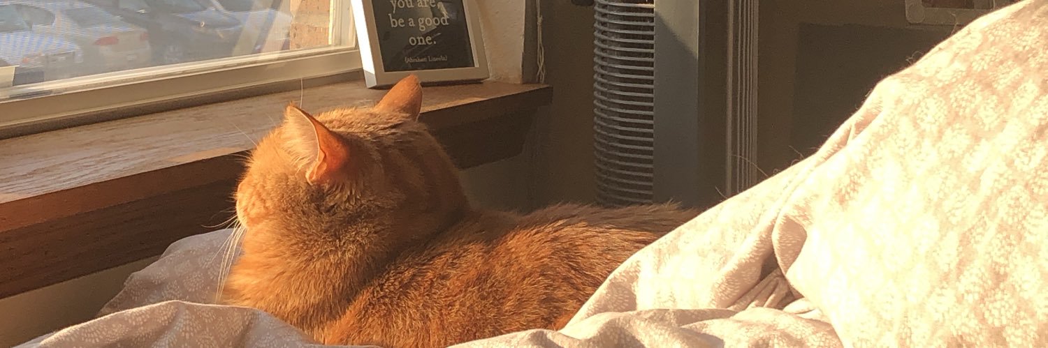 kkswier's profile banner image