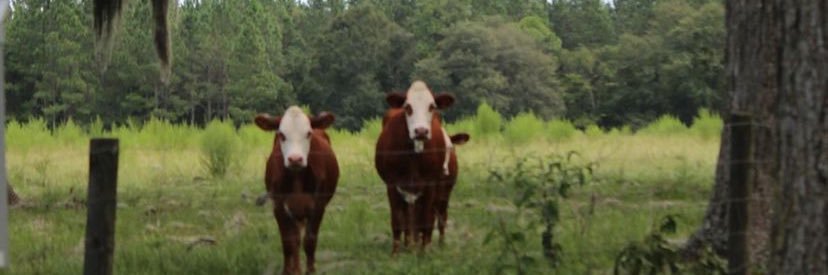 k8lyn_murray's profile banner image