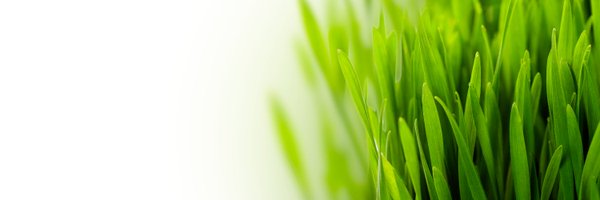 ISTRCSystem Profile Banner