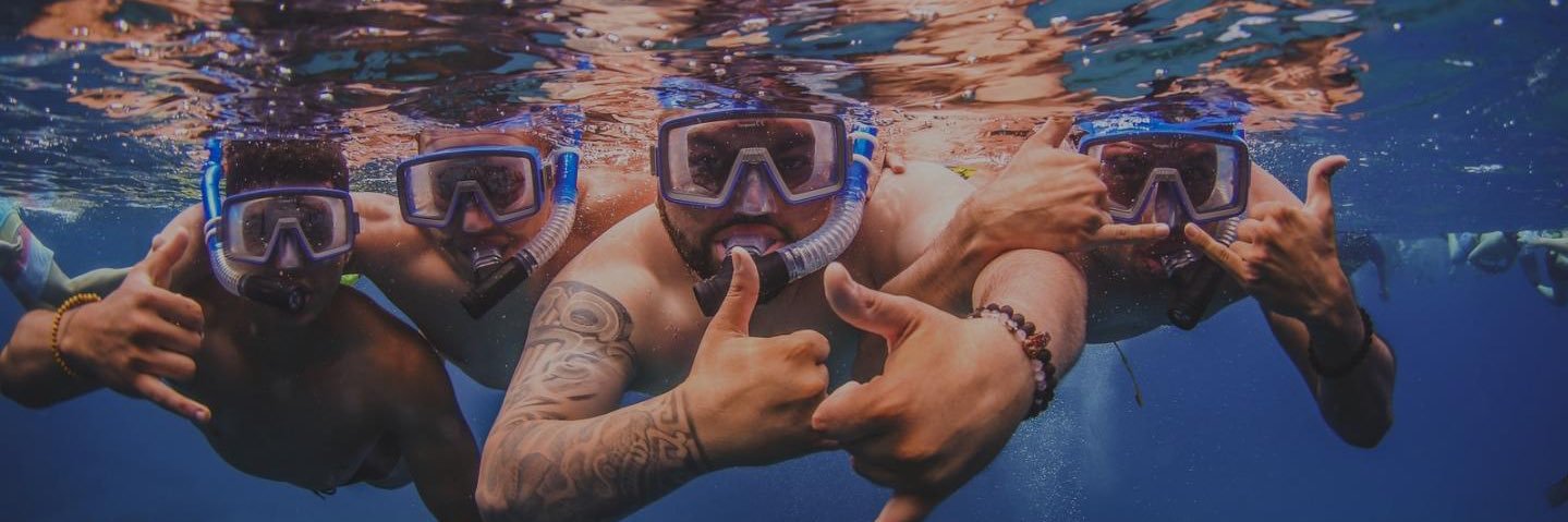 Marco D. Luffy banner