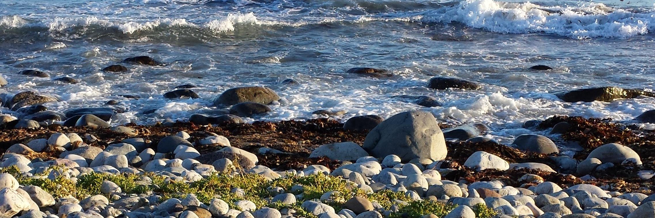 Siri Engesaeth banner