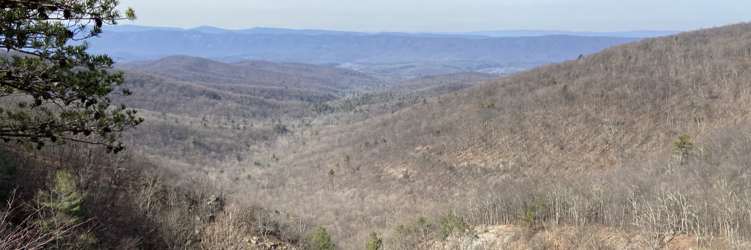 the_lovins's profile banner image