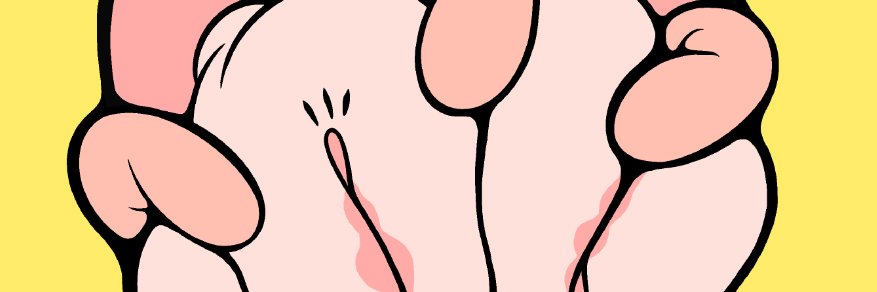 Stocci banner