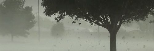 random banner