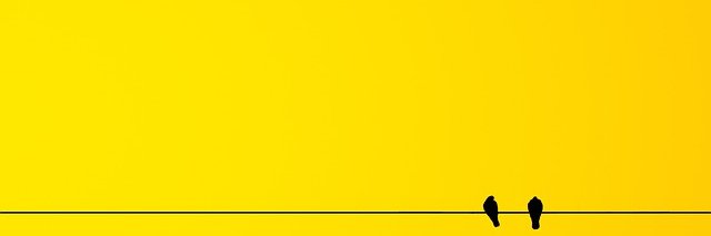 eisaunam's profile banner image