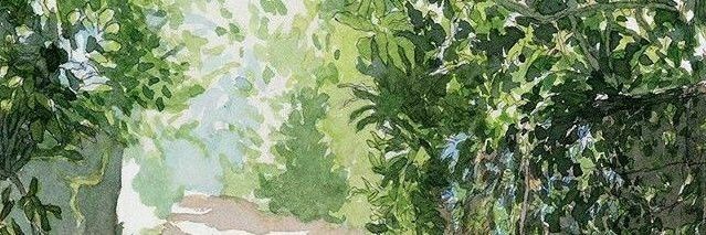 Dianthus_libris's profile banner image